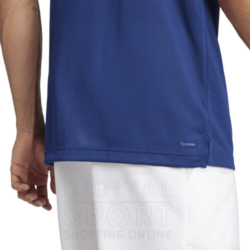 CHOMBA POLO