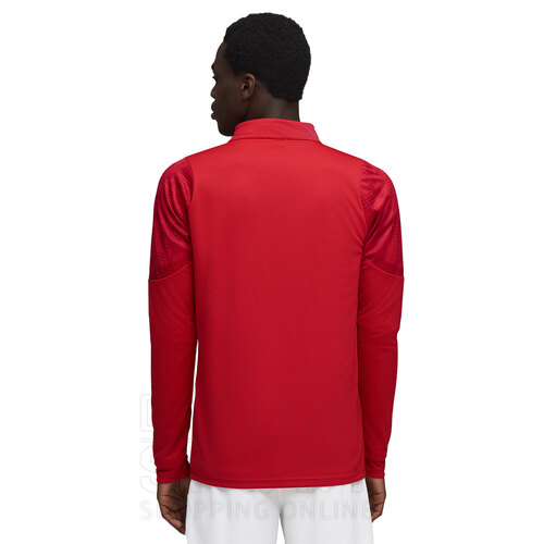 CAMPERA INDEPENDIENTE TRAINING