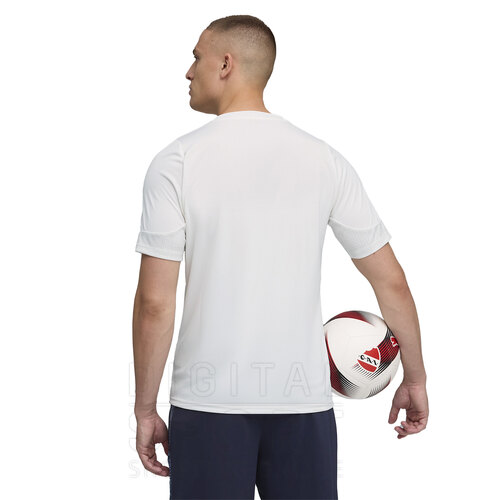 REMERA INDEPENDIENTE TRAINING