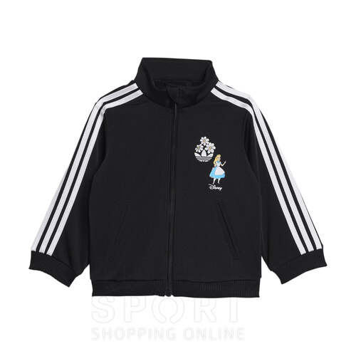 CONJUNTO DISNEY FIREBIRD