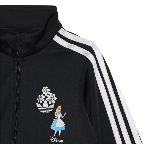 CONJUNTO DISNEY FIREBIRD