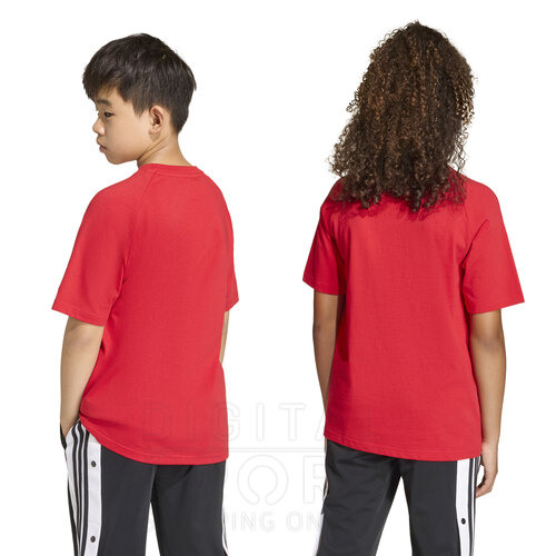 REMERA TREFOIL GRAPHIC KIDS