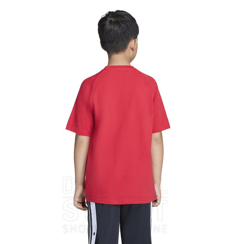 REMERA TREFOIL GRAPHIC KIDS