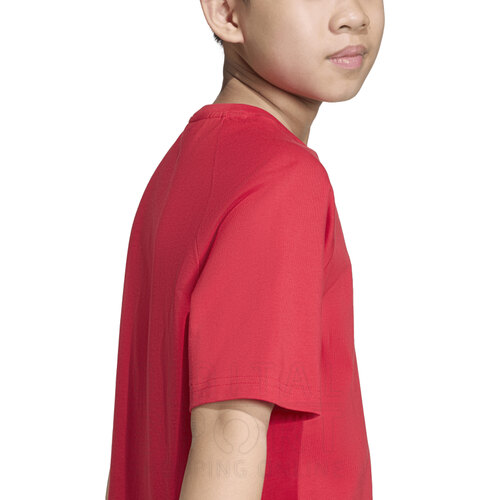 REMERA TREFOIL GRAPHIC KIDS
