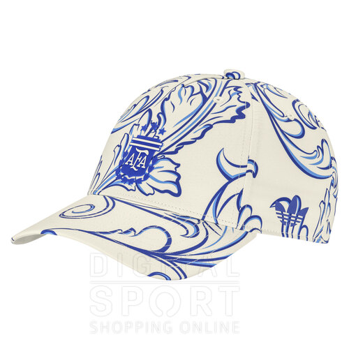 GORRA GRAPHIC ALTERNATIVA AFA 26