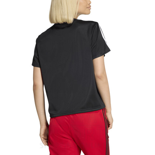 REMERA FIREBIRD