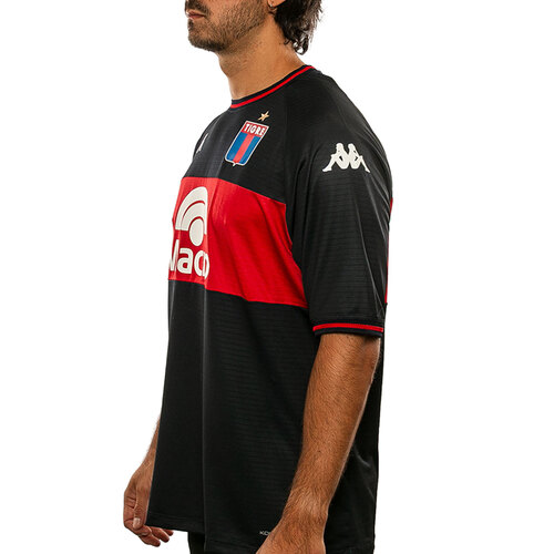 CAMISETA TIGRE