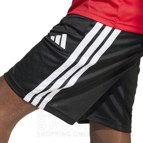 CONJUNTO TRAIN ESSENTIALS