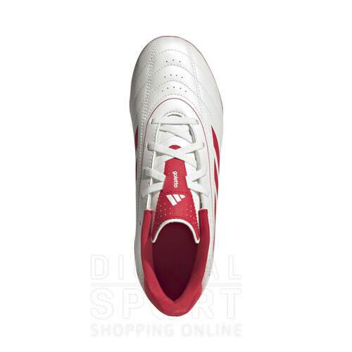 BOTINES GOLETTO IX FG/MG J