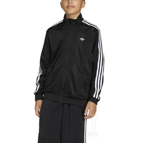 CAMPERA FIREBIRD