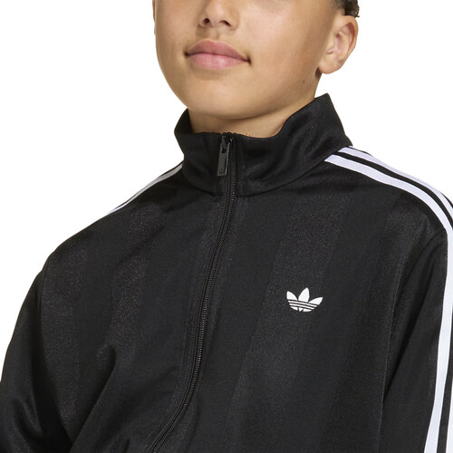 CAMPERA FIREBIRD