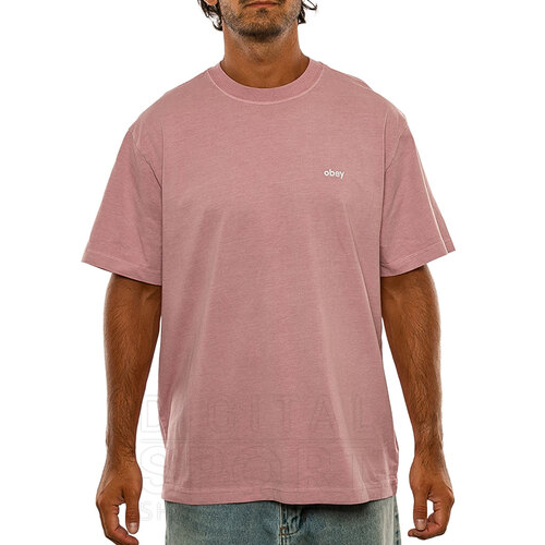 REMERA LOWERCASE PIGMENT