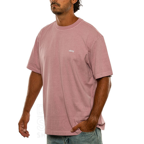 REMERA LOWERCASE PIGMENT