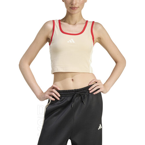 MUSCULOSA STADIUM