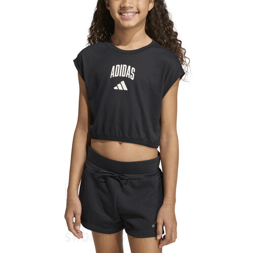 REMERA SEASONALS COLLEGIATE TYPOGRAPHY