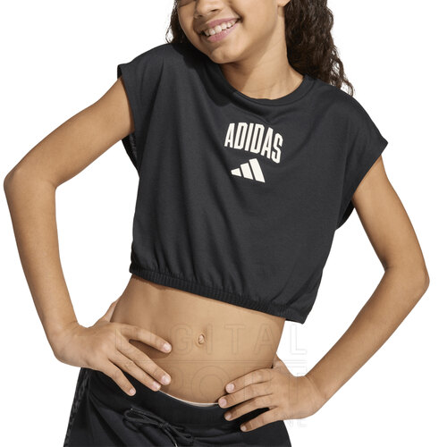 REMERA SEASONALS COLLEGIATE TYPOGRAPHY