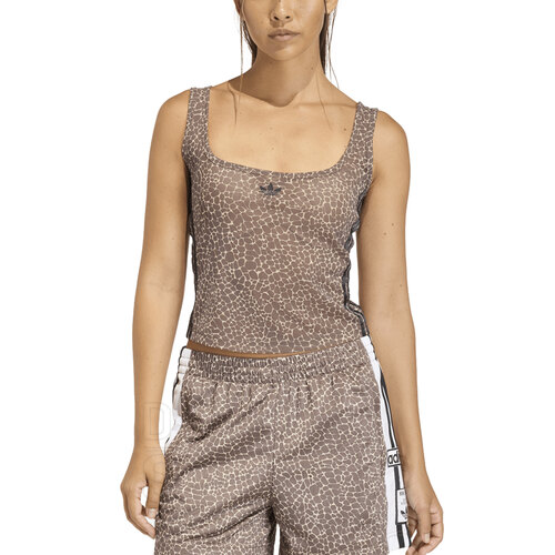 MUSCULOSA AOP