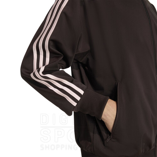 CAMPERA FIREBIRD