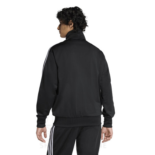 CAMPERA FIREBIRD