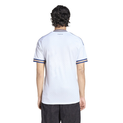 CAMISETA ALTERNATIVA ITALIA 26