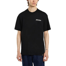 REMERA STATESVILLE