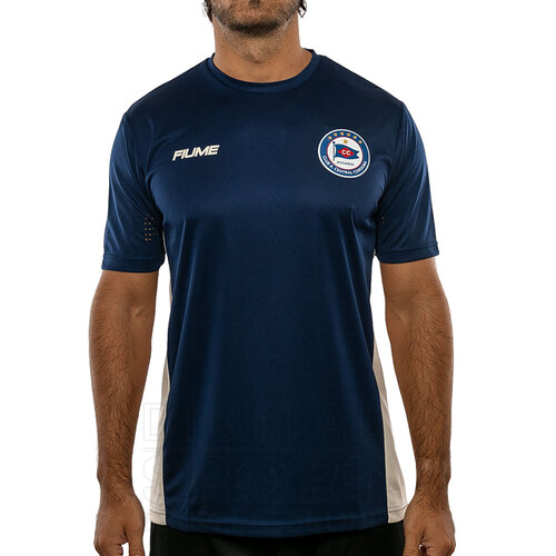 REMERA ENTRENAMIENTO CENTRAL CORDOBA DE ROSARIO