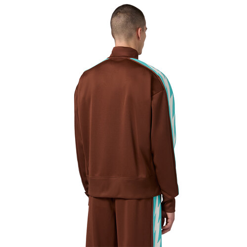 CAMPERA INDEX & ARCHIVES ISLAND TREES