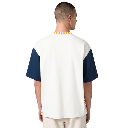 REMERA INDEX & ARCHIVES ISLAND TREES