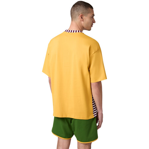 REMERA INDEX & ARCHIVES ISLAND TREES