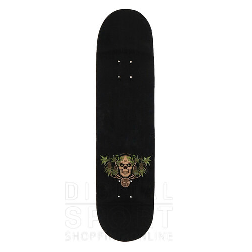 TABLA SKATE SANDRO MORAL 8.8