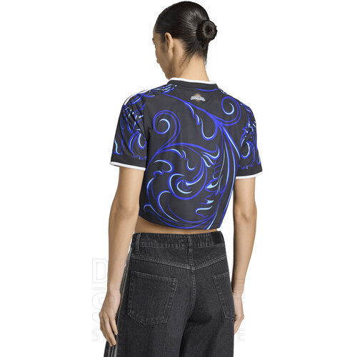 CAMISETA ALTERNATIVA SELECCION AFA 26