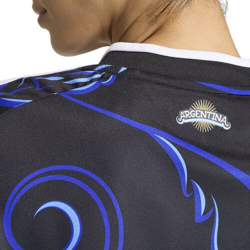 CAMISETA ALTERNATIVA SELECCION AFA 26