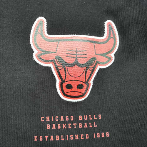 CAMISA NBA CHICAGO BULLS
