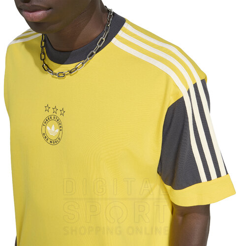 REMERA PANELED GRAPHIC ORIGINALS