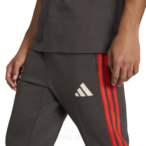 PANTALON AUDI REVOLUT F1 DNA