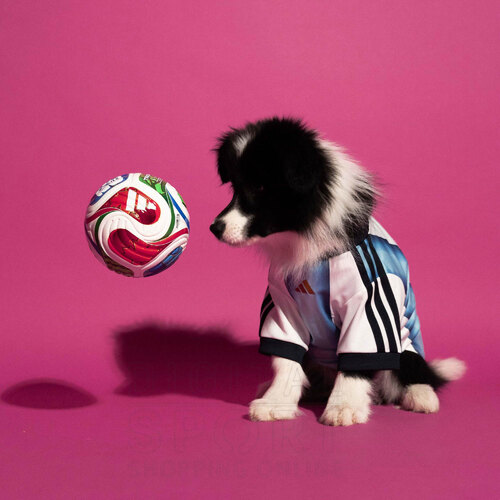 CAMISETA MASCOTAS AFA ARGENTINA