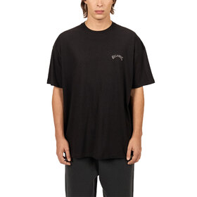 REMERA ARCH EMB OVER