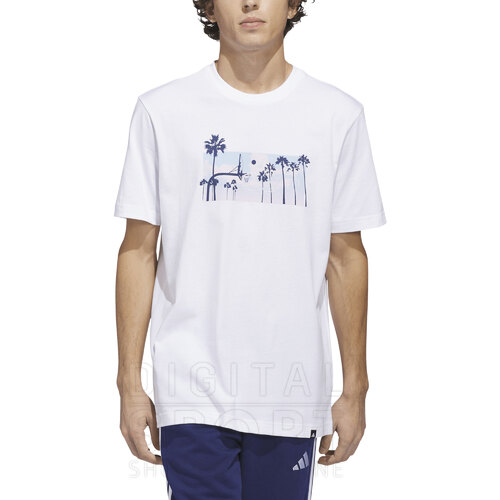 REMERA GRAPHIC
