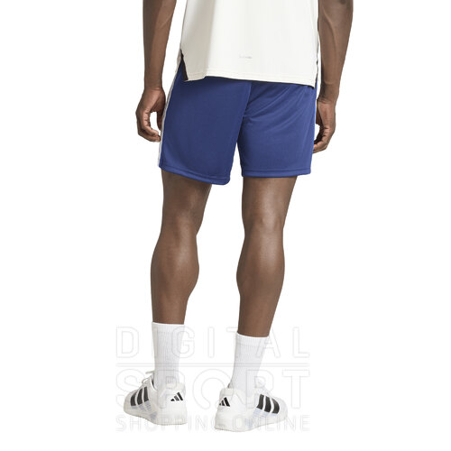 SHORT WORKOUT ESSENTIALS ALL SET