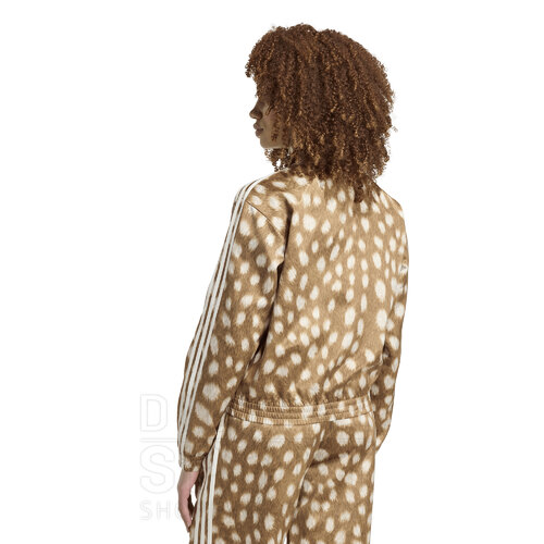 CAMPERA FIREBIRD