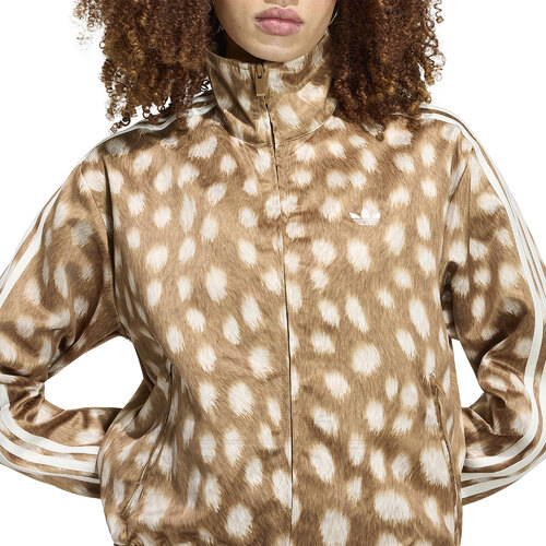 CAMPERA FIREBIRD