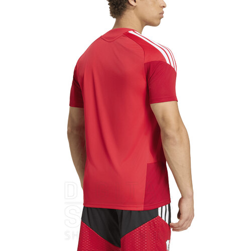 REMERA RIVER PLATE