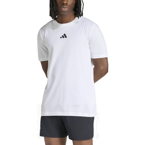 REMERA GRAPHIC PADEL