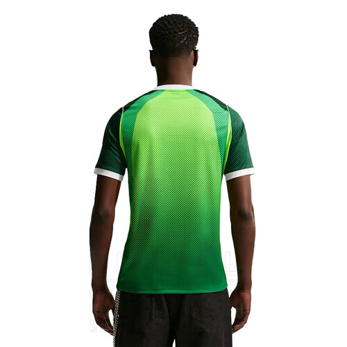 CAMISETA NIGERIA