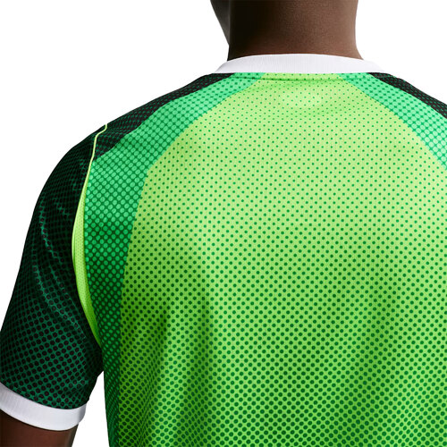 CAMISETA NIGERIA