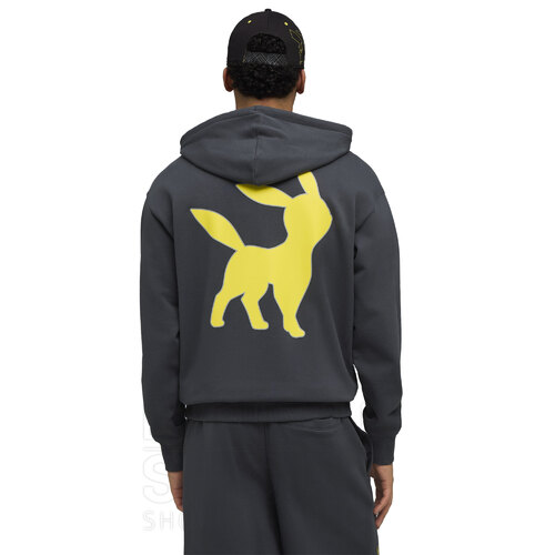 BUZO CANGURO POKEMON RELAXED GRAPHIC