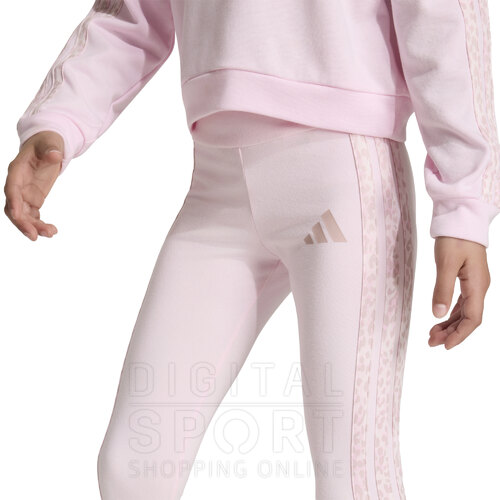 CONJUNTO ANIMAL