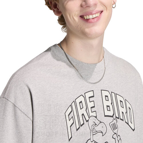 REMERA FLAMING BIRD