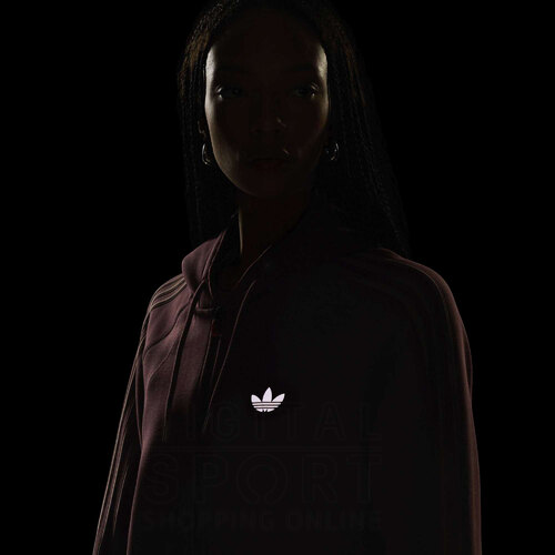 BUZO CAMPERA HOODY SST 2.0
