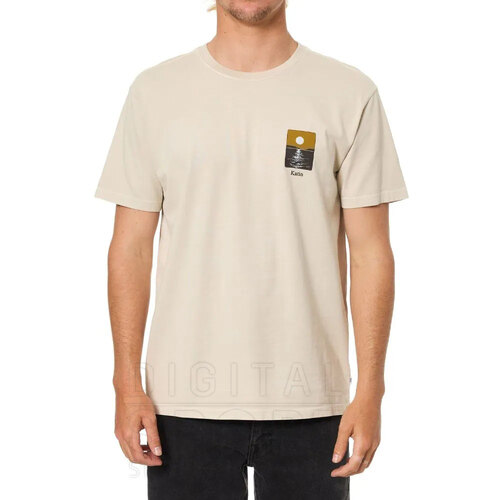 REMERA PHASES